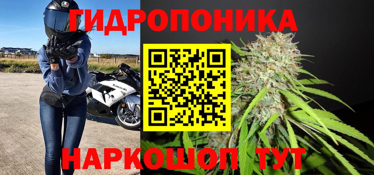 Красноармейск  Бошки марихуана семена  Шишки марихуана марихуана  Вход с VPN 